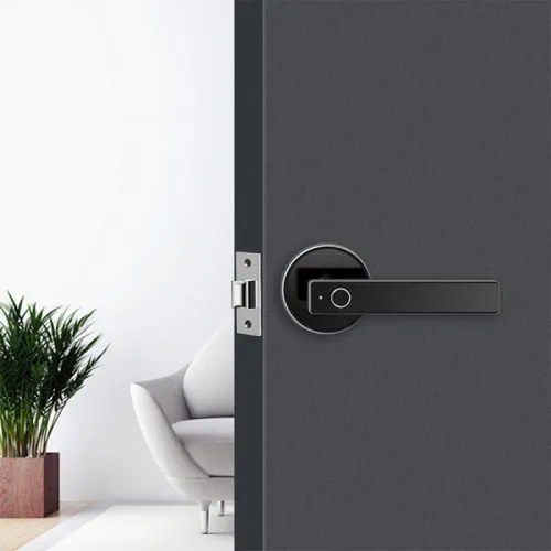 Электронный SMART-замок Ozlocks HL-F47/SM+ фото 5