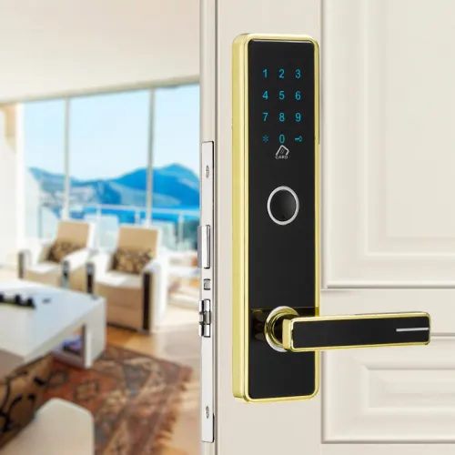 Электронный SMART-замок Ozlocks HL-F04/SM/MF фото 6