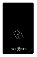 Считыватель с контроллером PL-F004/MF v.2 Modbus сетевой