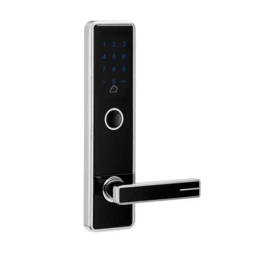 Электронный SMART-замок Ozlocks HL-F04/SM/MF фото 2