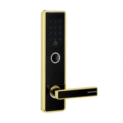 Электронный SMART-замок Ozlocks HL-F04/SM/MF фото 4