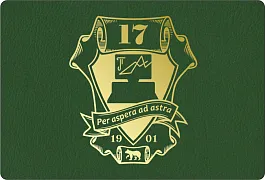 МАОУ «Гимназия №17»