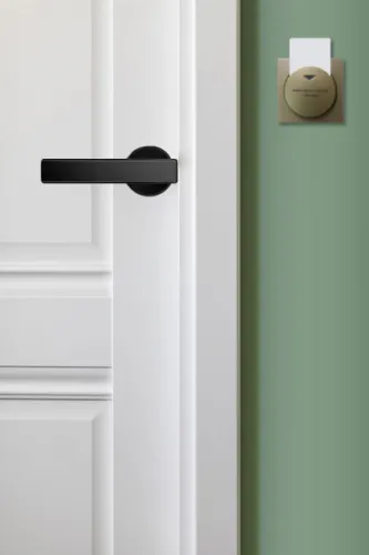 Энергосберегающий выключатель Ozlocks с программным управлением SW-F02/H/TM фото 10