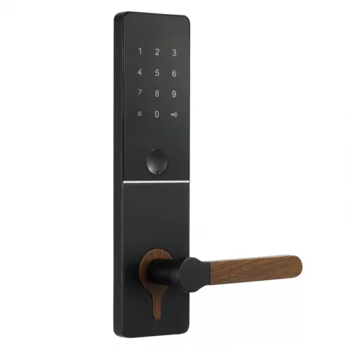 Электронный SMART-замок Ozlocks HL-F25/SM/MF "Loft" фото 5