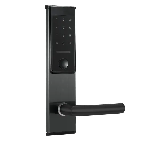 Электронный SMART-замок Ozlocks HL-F32/SM/MF фото 4