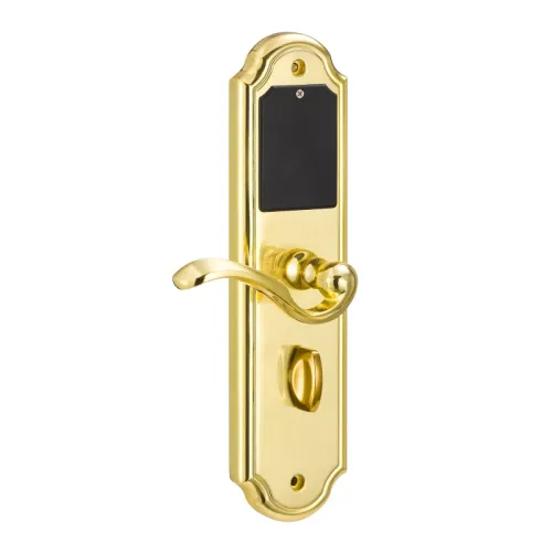Электронный гостиничный замок Ozlocks HL-F21/H/MF фото 3