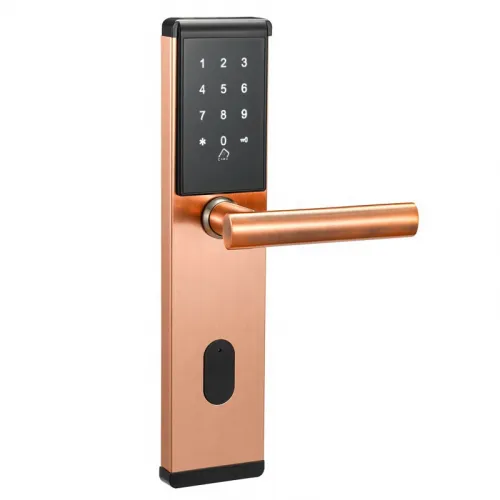 Электронный SMART-замок Ozlocks HL-F37/SM/MF фото 4