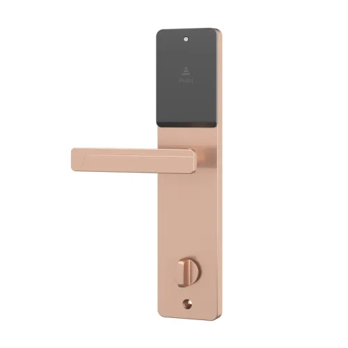 Электронный SMART-замок Ozlocks HL-F52/SM/MF фото 7