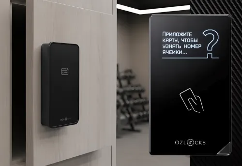Мебельный электронный замок Ozlocks свободный выбор с инфотерминалом 13,56 MHz SL-F11/FS/MF/Pt