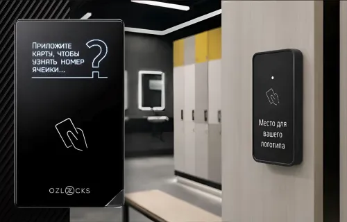 Мебельный электронный замок Ozlocks свободный выбор с инфотерминалом 13,56 MHz с антивандальным корпусом SL-F33/FS/MF/Wt
