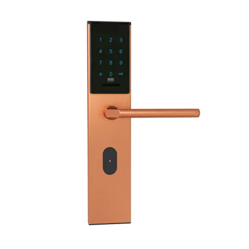 Электронный SMART-замок Ozlocks HL-F33/SM/MF фото 5
