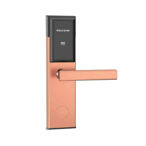 Электронный гостиничный замок Ozlocks HL-F02/H/TM фото 8