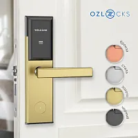 Электронный гостиничный онлайн-замок OZLocks HL-F02/WR/MF