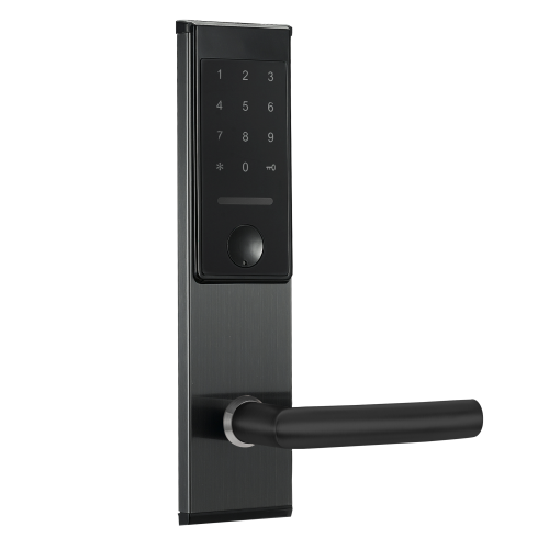Электронный SMART-замок Ozlocks HL-F32/SM/MF фото 4