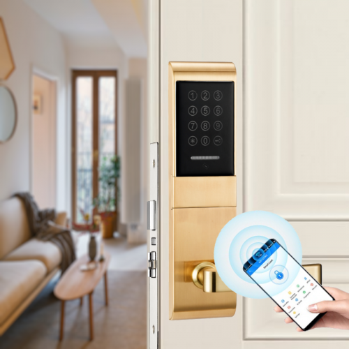 Электронный SMART-замок Ozlocks HL-F26/SM/MF фото 6