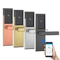 Электронный SMART-замок Ozlocks HL-F02/SMW/MF