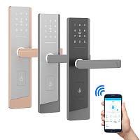 Электронный SMART-замок Ozlocks HL-F52/SM/MF