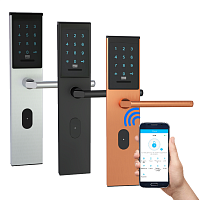 Электронный SMART-замок Ozlocks HL-F33/SM/MF