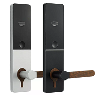 Электронный гостиничный замок Ozlocks HL-F25/H/MF/P "Loft"